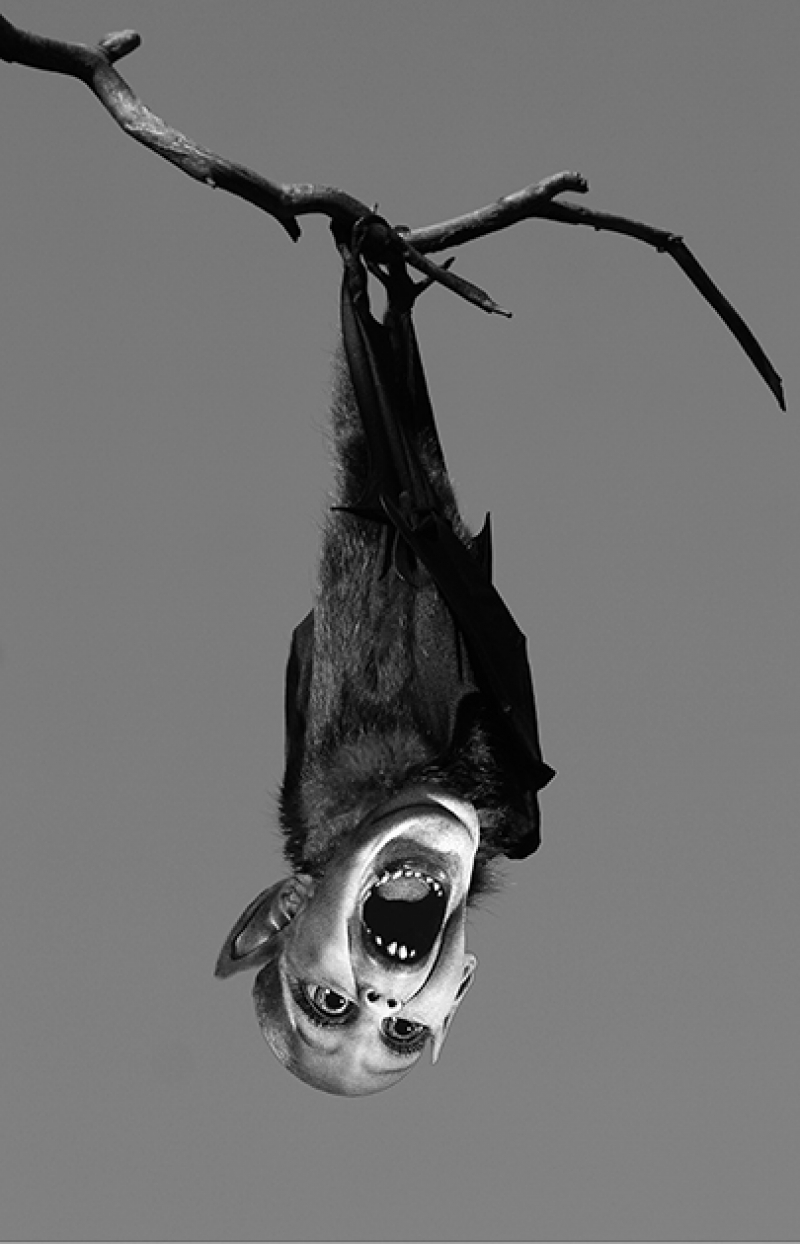 Bat Boy: The Musical